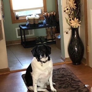 Meet your Posher, Claudia